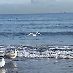 Oliwia Iii * Sopot