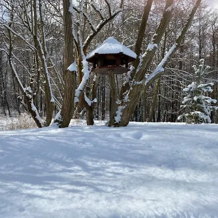 Oliwia Iii Apartment