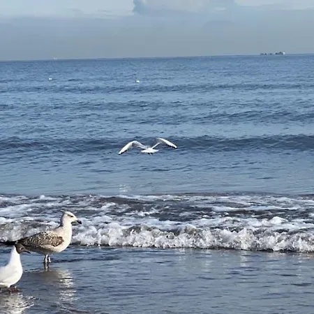 Oliwia Iii * Sopot