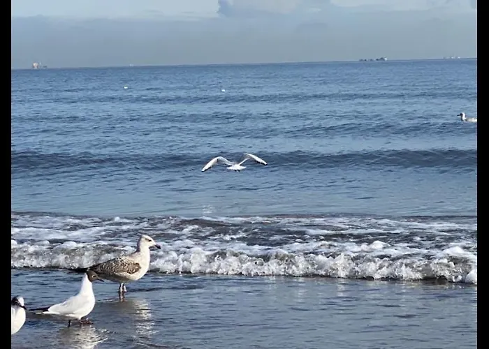 Oliwia Iii * ソポト